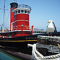 Tug Boat at Port